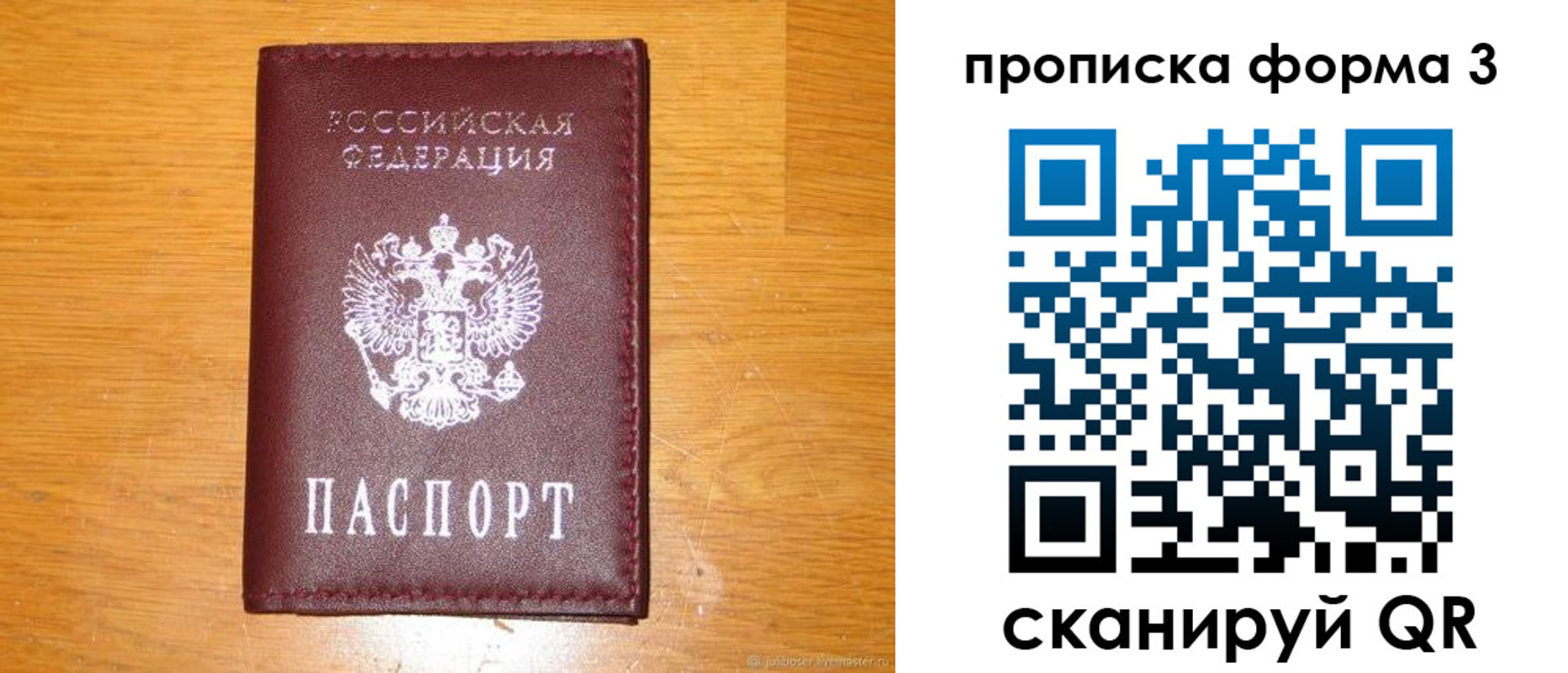 прописка иностранных граждан в Мурманской области